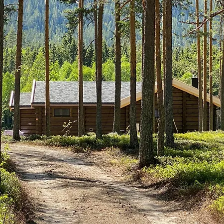 With Great Fishing At Trysilfjellet 펜션 Jordet