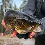 With Great Fishing At Trysilfjellet Σπίτι διακοπών Jordet